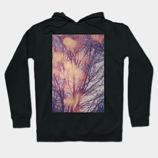 All the pretty lights (1) Hoodie